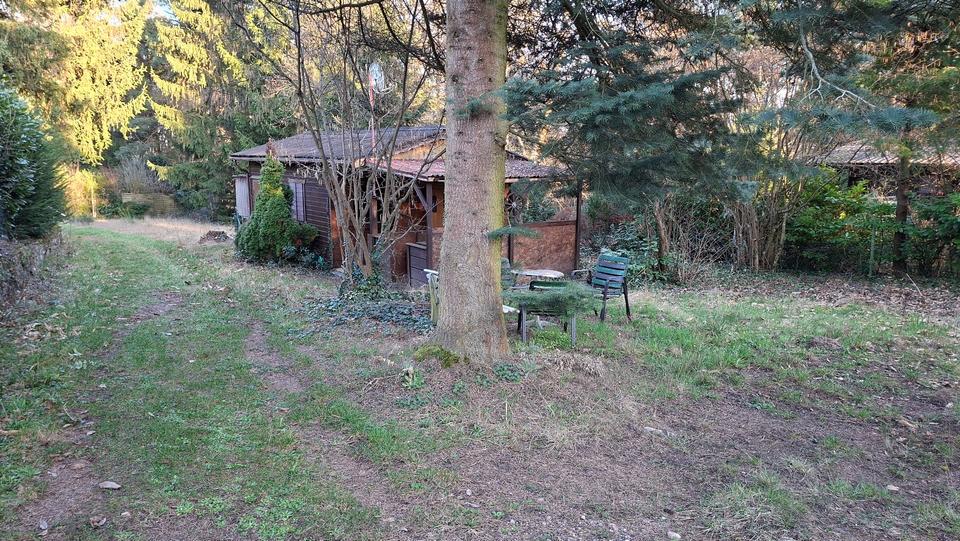 Einfamilienhaus Bad Dürkheim - 44.000&euro; | Angebot:25907623