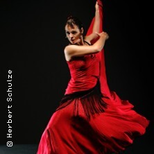 Flamenco Vivo Hamburg