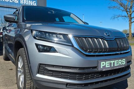 Skoda Kodiaq 70.255 km 24.770 &euro; Barth 18356