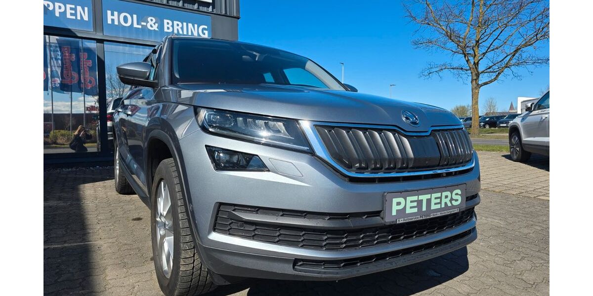 Skoda Kodiaq 70.255 km 24.770 &euro; Barth 18356