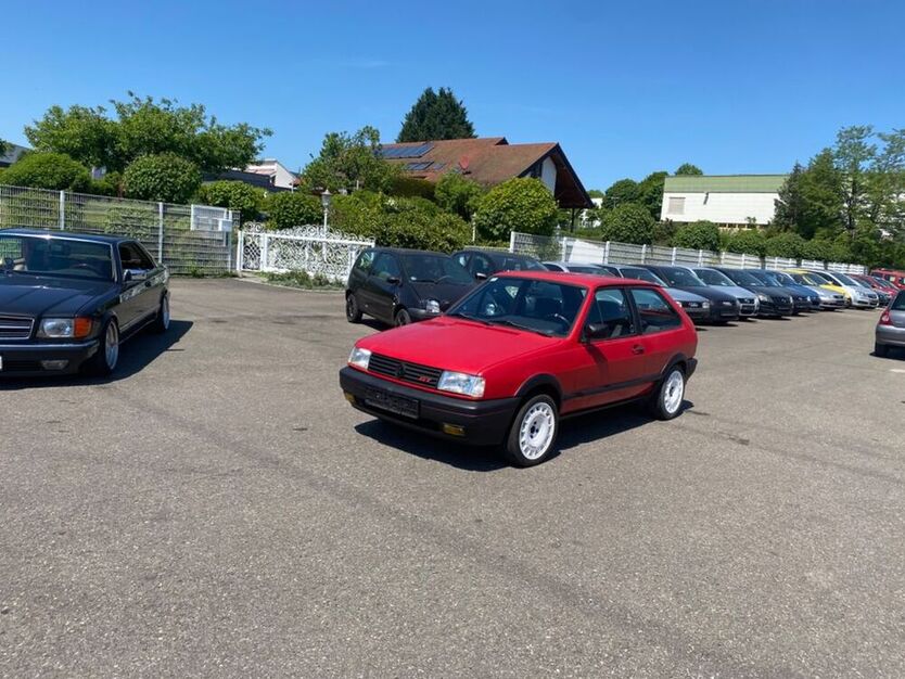 Polo