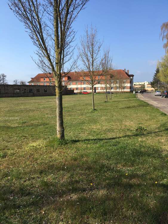 Grundstück zu verkaufen in Burg 800.000 € 4100 m²