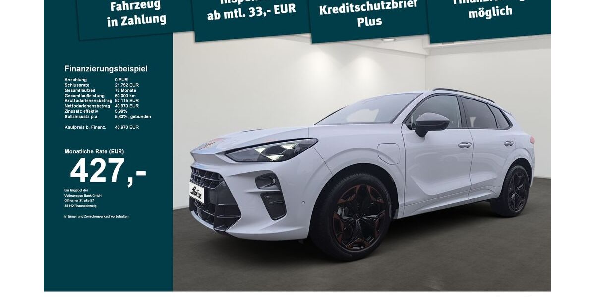 Cupra Terramar 9.000 km 40.970 &euro; Lindenberg 88161