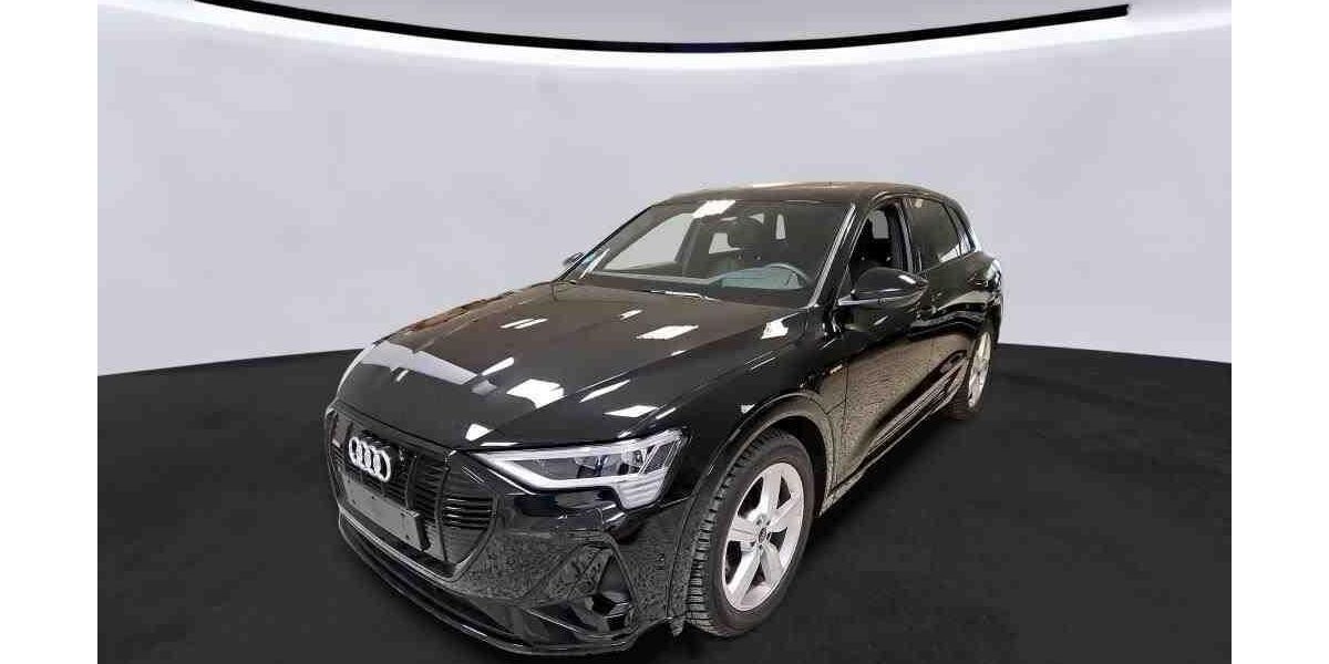Audi e-tron 23.679 km 38.840 &euro; Hagen 58091