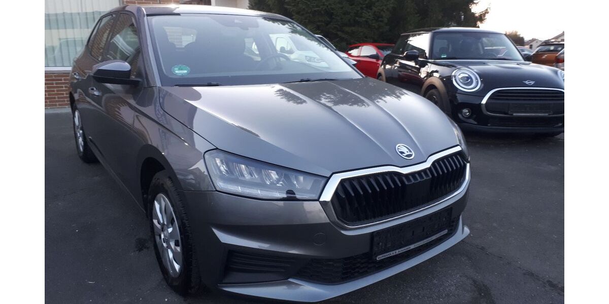 Skoda Fabia 59.000 km 16.380 &euro; Kronach-Gundelsdorf 96317