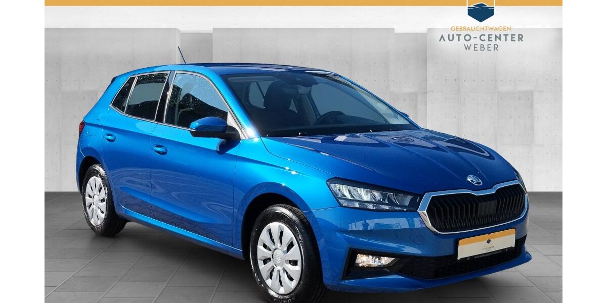 Skoda Fabia 15.253 km 18.280 &euro; Döbernitz 04509