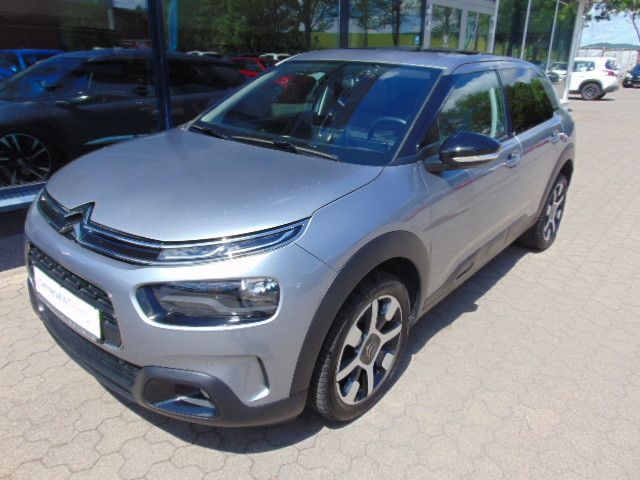 C4 Cactus