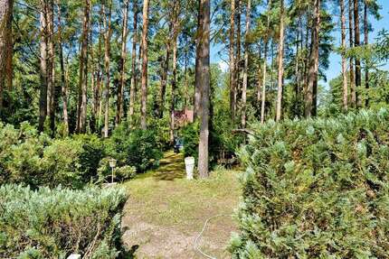 Grundstück Löwenberger Land - 180.000&euro; | Angebot:22062910