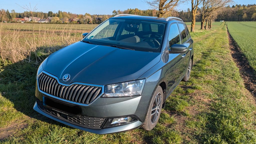 Skoda Fabia 103.700 km 13.100 &euro; Buchholz 21244