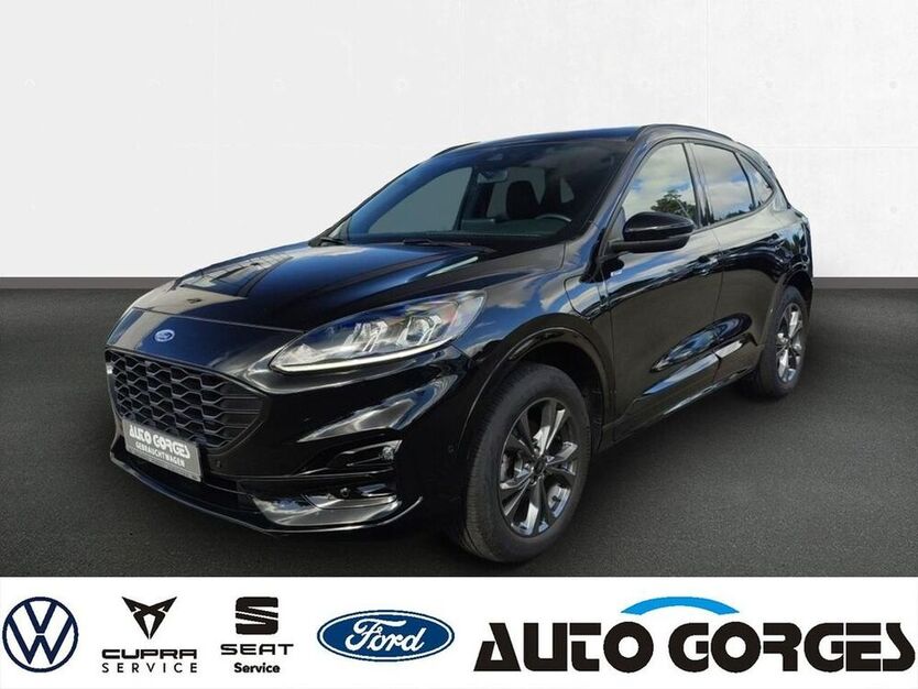 Kuga