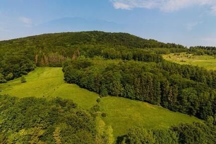 Grundstück Großalmerode - 89.830&euro; | Angebot:24627708