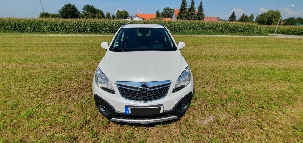 Mokka