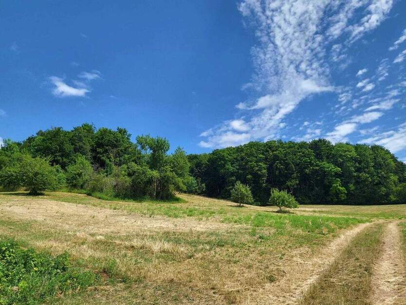 Wald und Ackerfläche zu verkaufen zimmer