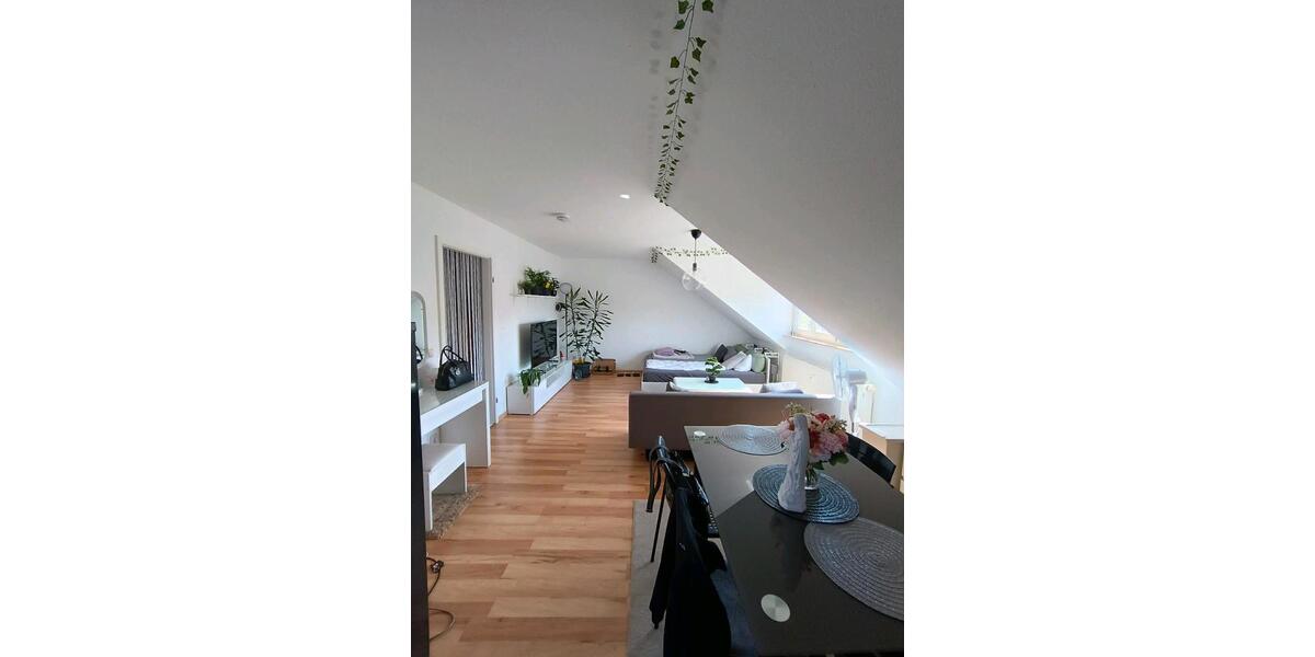 Dachgeschoßwohnung Dresden Plauen - 1 Zimmer, 43 m&sup2;, 546&euro; | Angebot:26248540