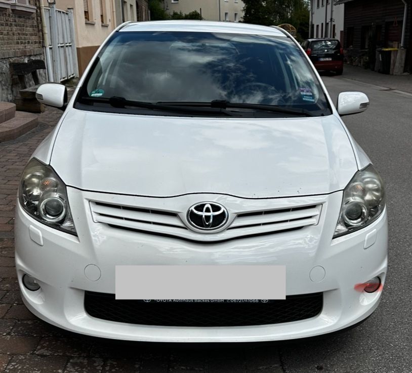 Auris
