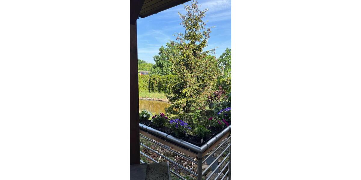 Einfamilienhaus Torgau - 7.5 Zimmer, 310 m&sup2;, 650.000&euro; | Angebot:26950379