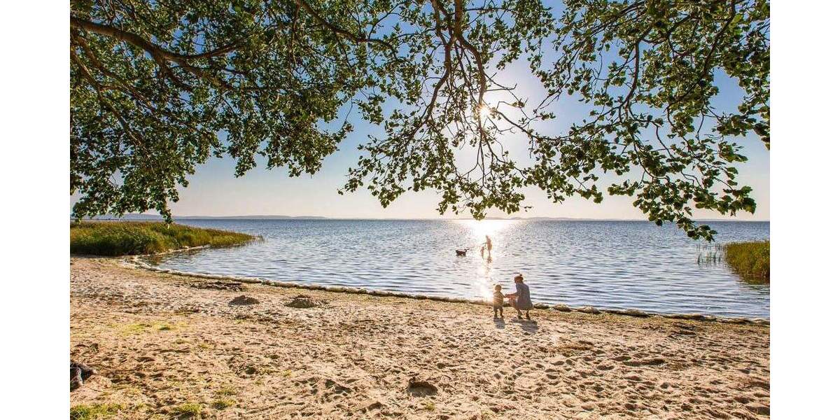 Grundstück Sagard - 447.000&euro; | Angebot:25683468