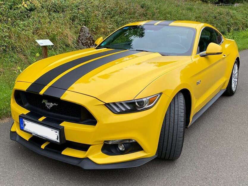 Mustang