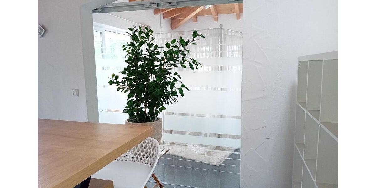 Großzügige Penthouse-Wohnung (ca. 210 m²) zu vermieten 5.5 zimmer