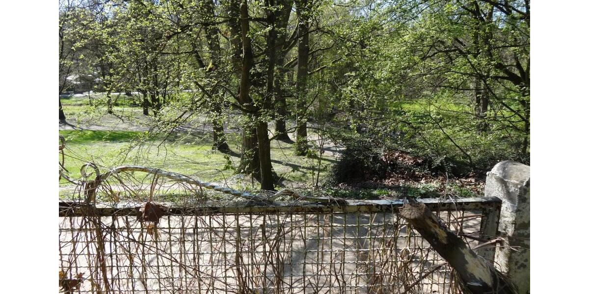 Einfamilienhaus Frankfurt am Main Sossenheim - 14 Zimmer, 320 m&sup2;, 1.850.000&euro; | Angebot:26317040