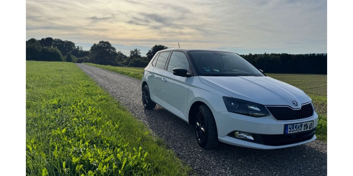 Skoda Fabia 156.000 km 7.500 &euro; Bad Saulgau 88348