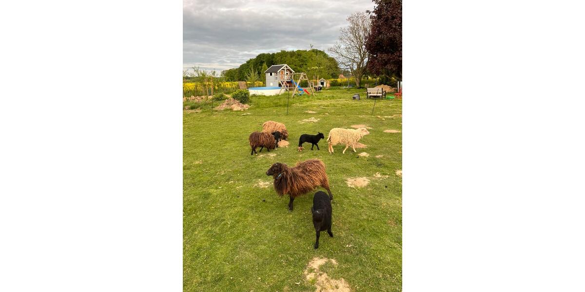 Bauernhaus, Landhaus Melle Bruchmühlen - 6 Zimmer, 150 m&sup2;, 650.000&euro; | Angebot:25839983