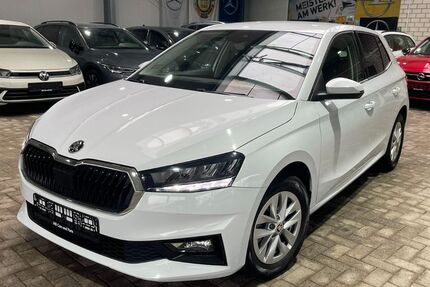 Skoda Fabia 70.657 km 16.249 &euro; Hörstel-Bevergern 48477