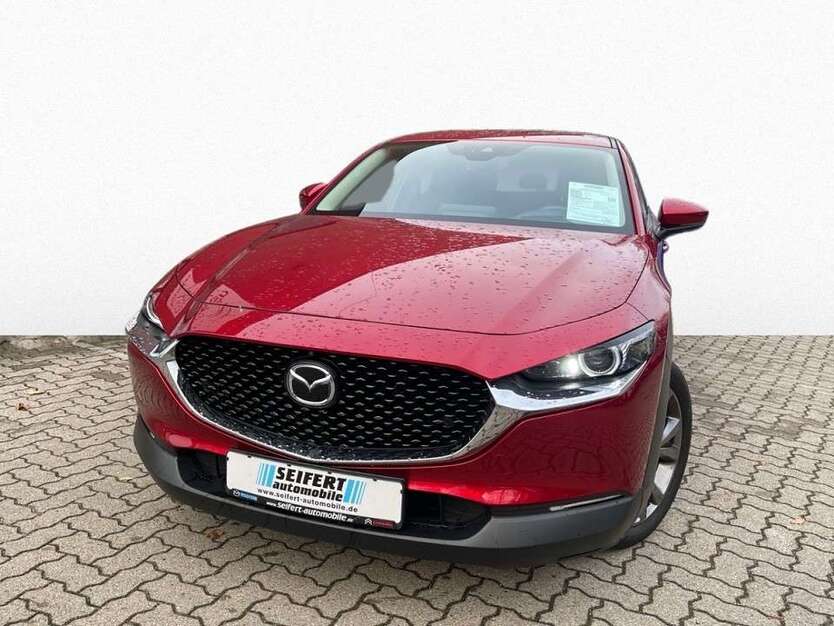 CX-30