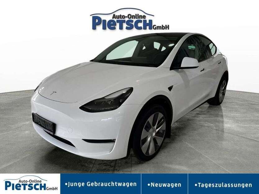 Model Y