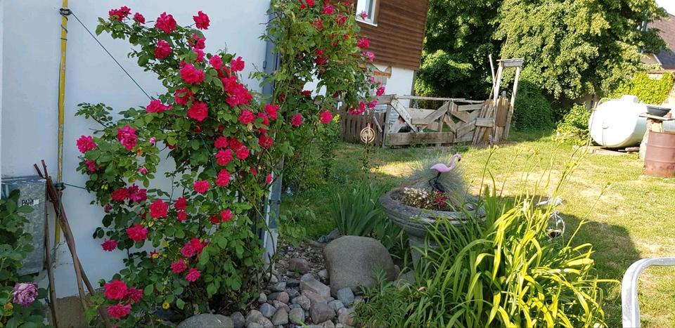 Mehrfamilienhaus, Wohnhaus Gransebieth - 210.000&euro; | Angebot:27097272