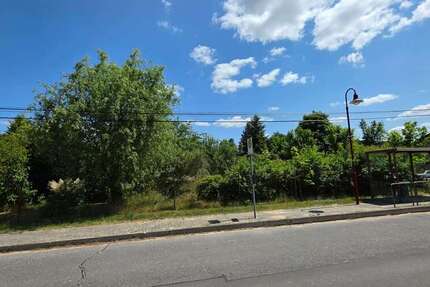 Grundstück Melchow - 230.000&euro; | Angebot:24032475