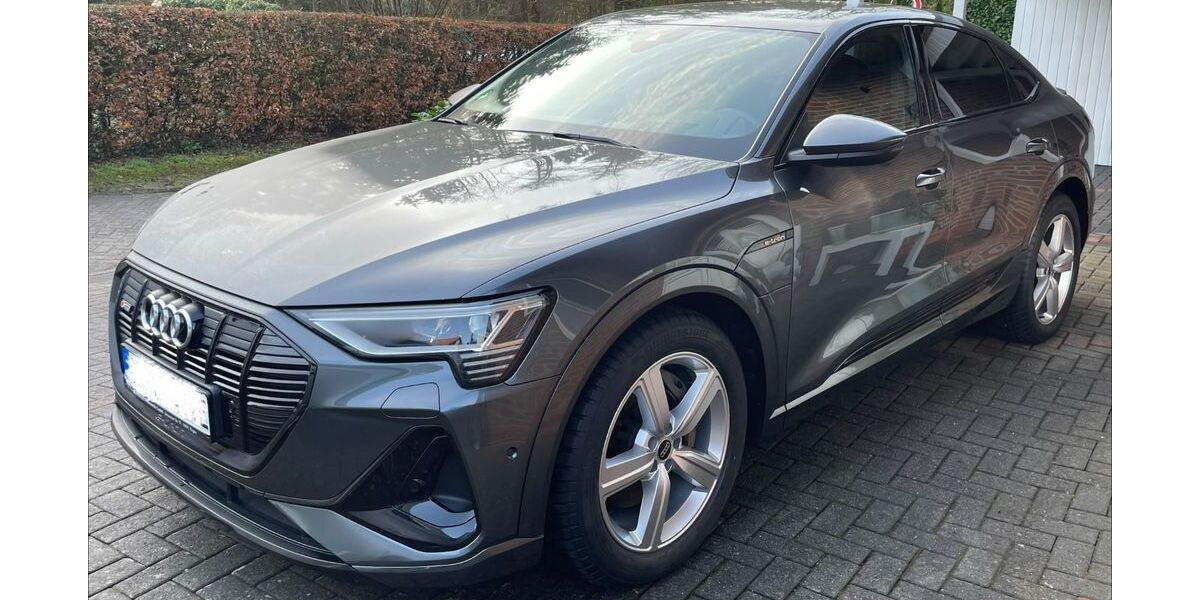 Audi e-tron 85.115 km 29.200 &euro; Dötlingen 27801
