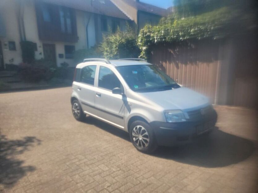 Panda