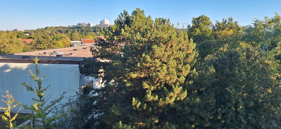 Etagenwohnung Nittendorf - 2 Zimmer, 62 m&sup2;, 265.000&euro; | Angebot:25593123