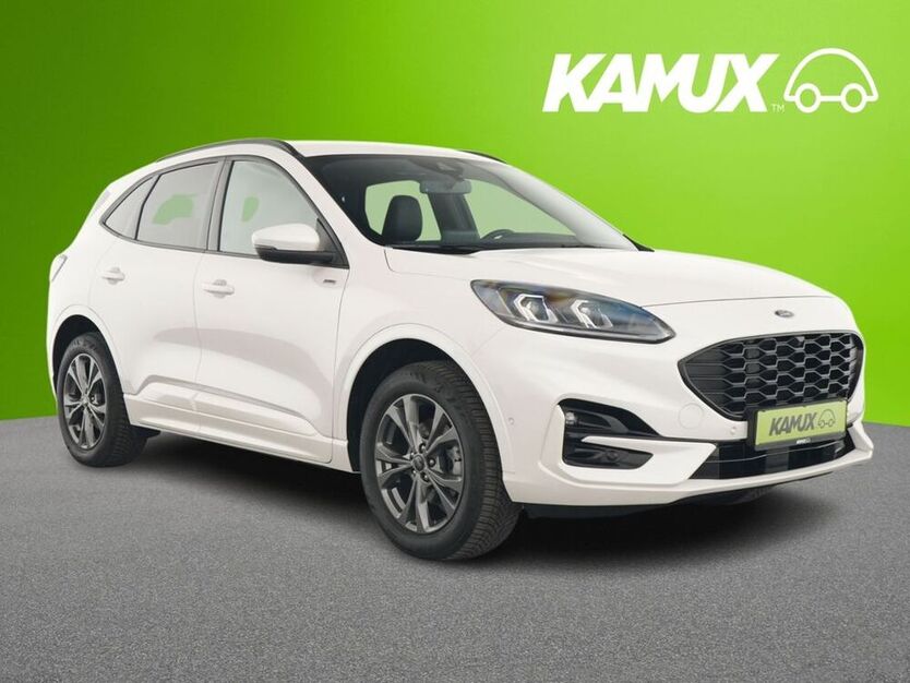 Kuga