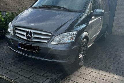 Mercedes Viano