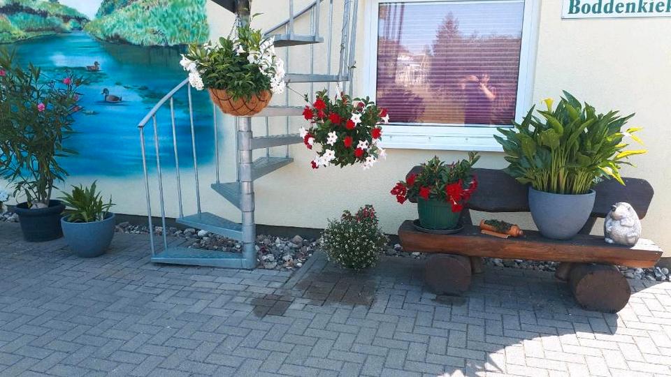 Ferienimmobilie Leipzig Mitte - 70&euro; | Angebot:25992950