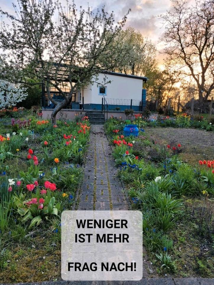 Bungalow auf Eigentumsland zum VerkaufMiete zimmer