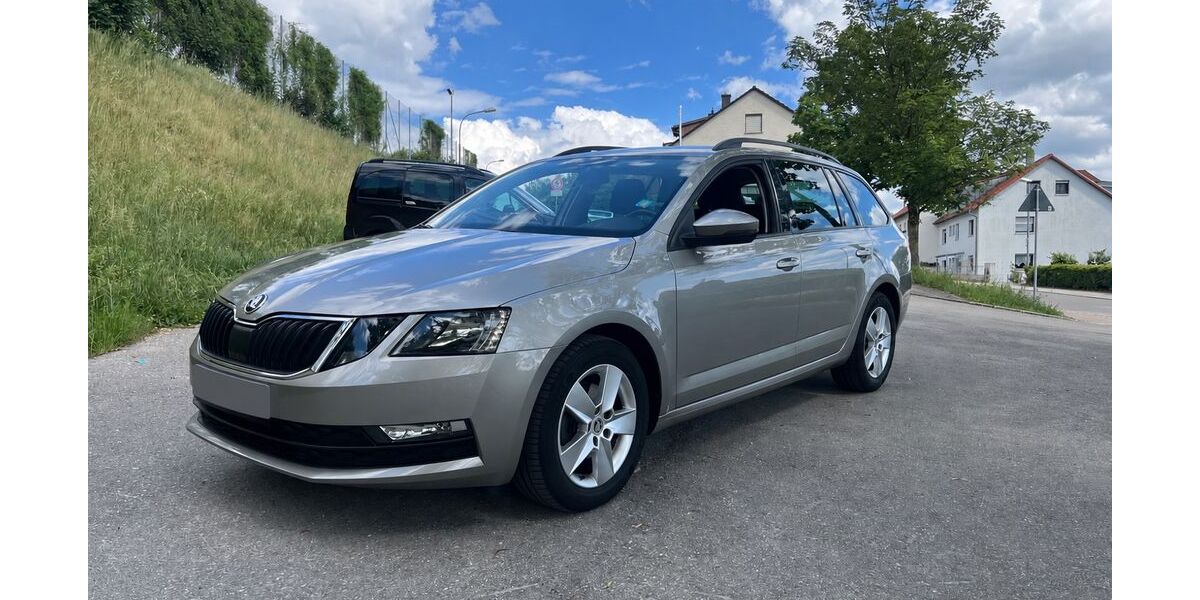 Skoda Octavia 92.000 km 13.700 &euro; Blaustein 89134