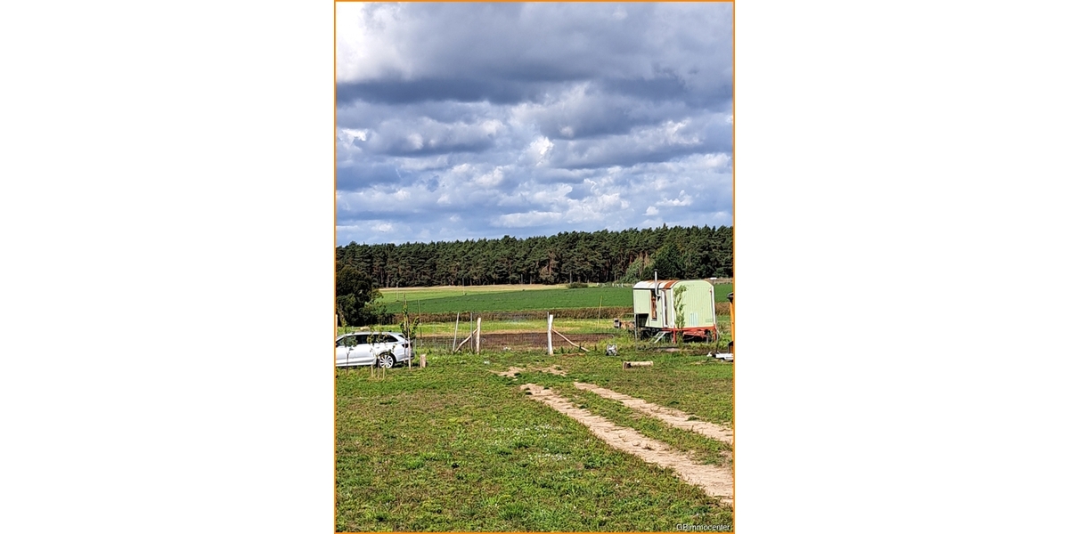 Ökologisch BAUEN mit NATUR Weitblick **RUHIGLAGE** Modul oder Stein auf Stein zum glücklich sein - Einfamilienhaus Nuthe-Urstromtal Nuthe-Urstromtal | Angebot:22485932
