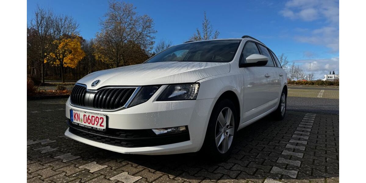 Skoda Octavia 170.876 km 11.500 &euro; Singen 78224