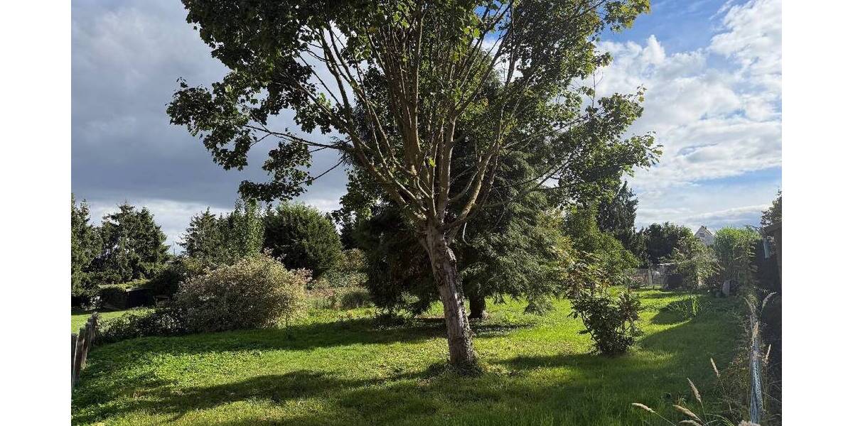 Platz für Ihr Wohnideen ruhiges und naturnah gelegenes Grundstück zimmer