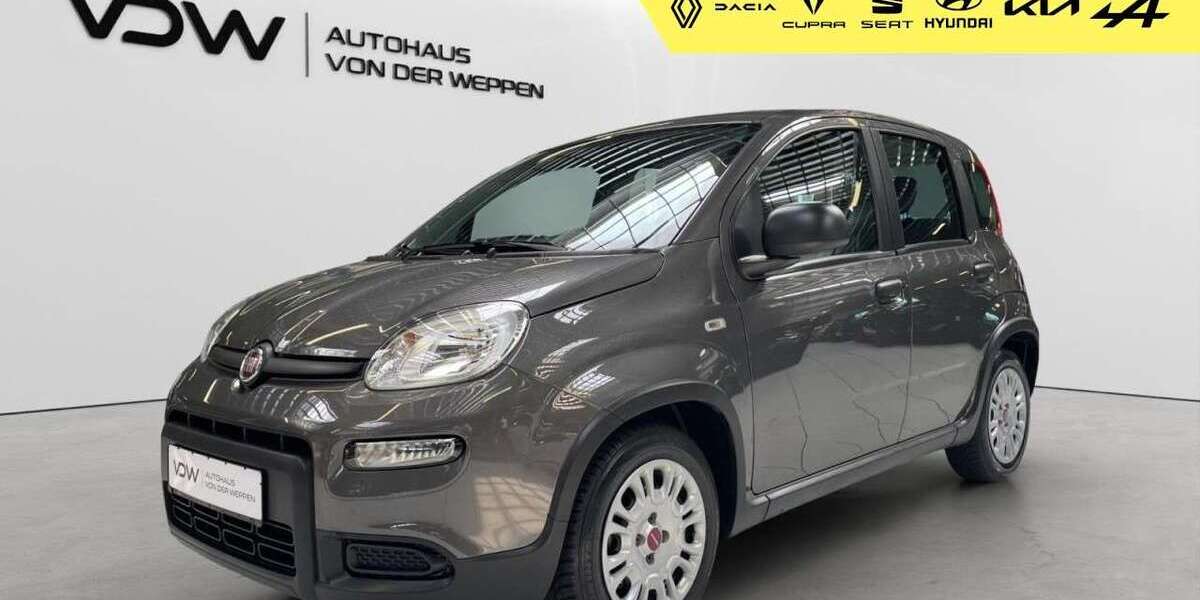 Fiat Panda 40.000 km 10.880 &euro; Heilbronn 74076