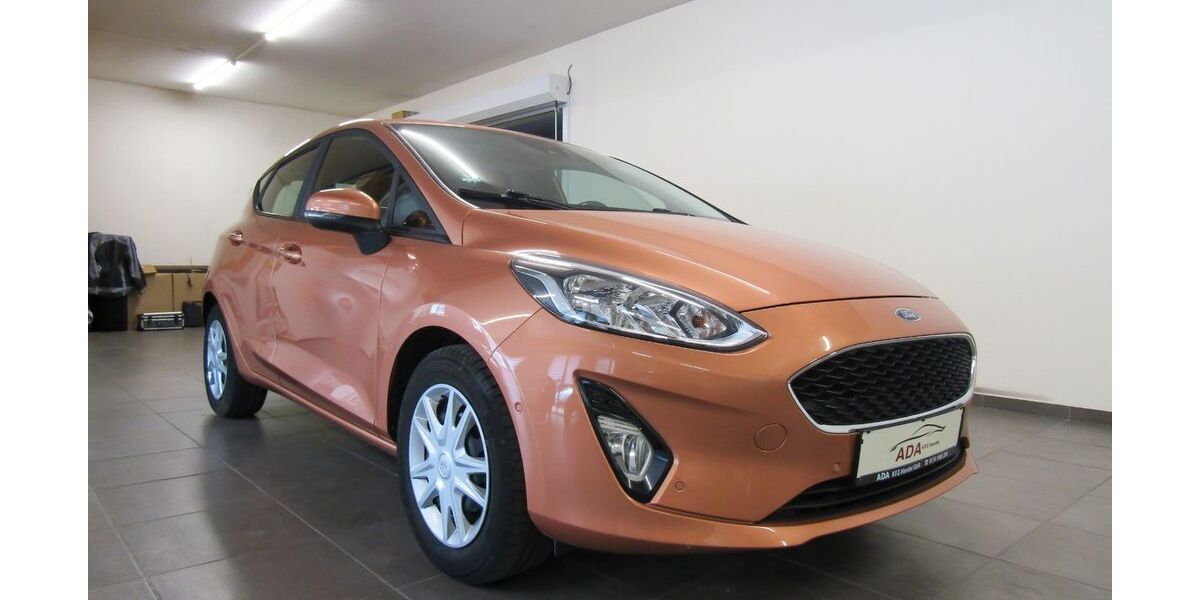 Ford Fiesta 123.700 km 8.790 &euro; Oldenburg 26125