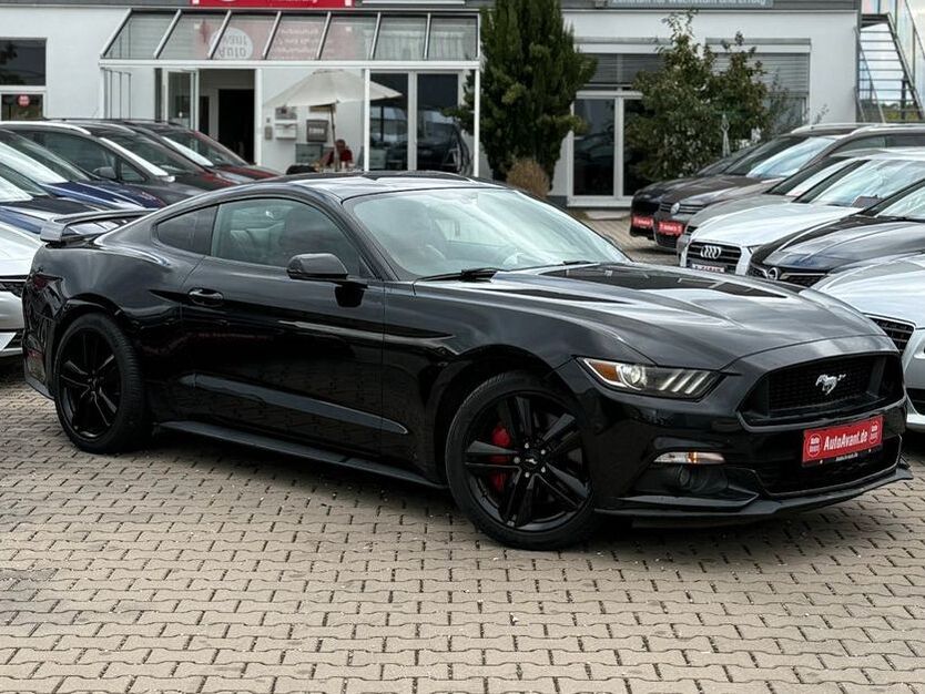 Mustang