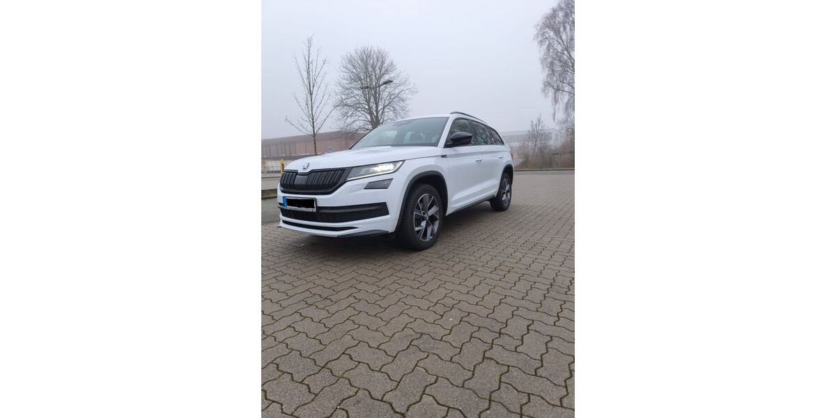 Skoda Kodiaq 118.000 km 27.490 &euro; Büdelsdorf 24782