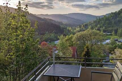 Wohnung zum Kaufen in Langelsheim Lautenthal 55.000 € 59 m² 2 zimmer