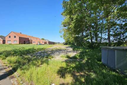 Grundstück zu verkaufen in Weener 160.000 € 6000 m² zimmer