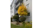 Erdgeschoßwohnung Roding - 4 Zimmer, 102 m&sup2;, 260.000&euro; | Angebot:27297062