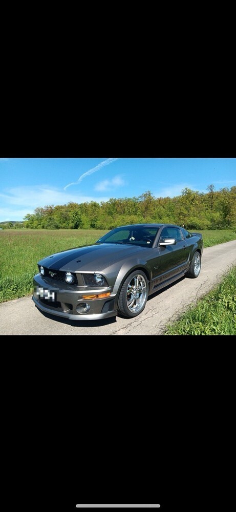 Mustang